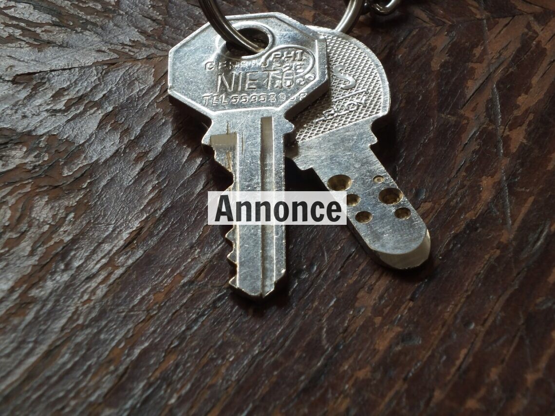 Problemer med låsen? Så skal du bruge en låsesmed